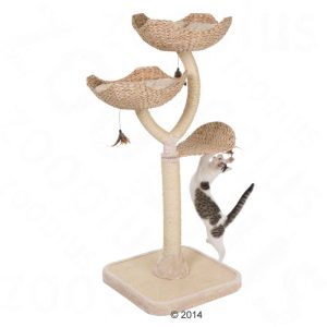 Krabpaal Cats Flower