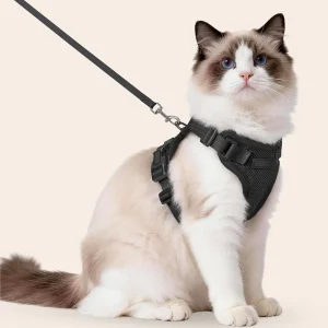 CharmPaws® Explorer Air - Ademend en Verstelbaar Kattenharnas met Looplijn