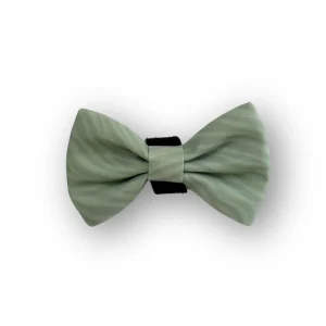 Strik Hond - Mellow Matcha