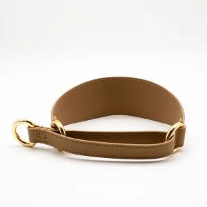 Reflective Bronze Dog Martingale Wide