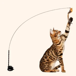 CharmPaws® Vogel Jacht-Simulator Set Original