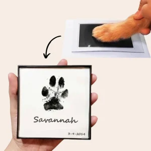 Pootafdruk Herinnerings-Kit