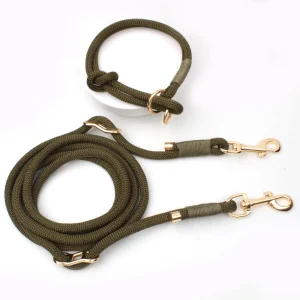 Wandelset: Handsfree Hondenriem & Halsband