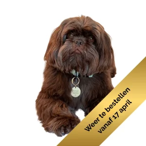 Hondenpenning met tekst