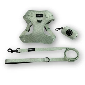 Wandelset - Mellow Matcha