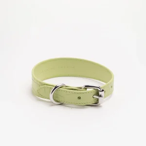 Pastelgroene Croco Hondenhalsband Dun