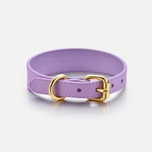 Dunne Violet Hondenhalsband